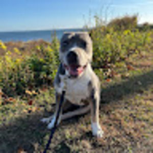 Meet your Posher, Cheryl-lynn